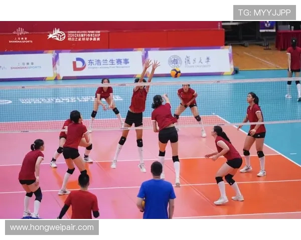 上海排球队的比赛经验分享与成长之路探讨